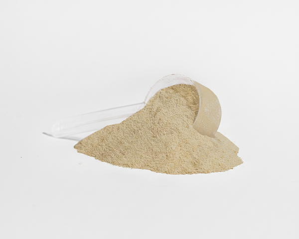 Vanilla Plant Power Protein