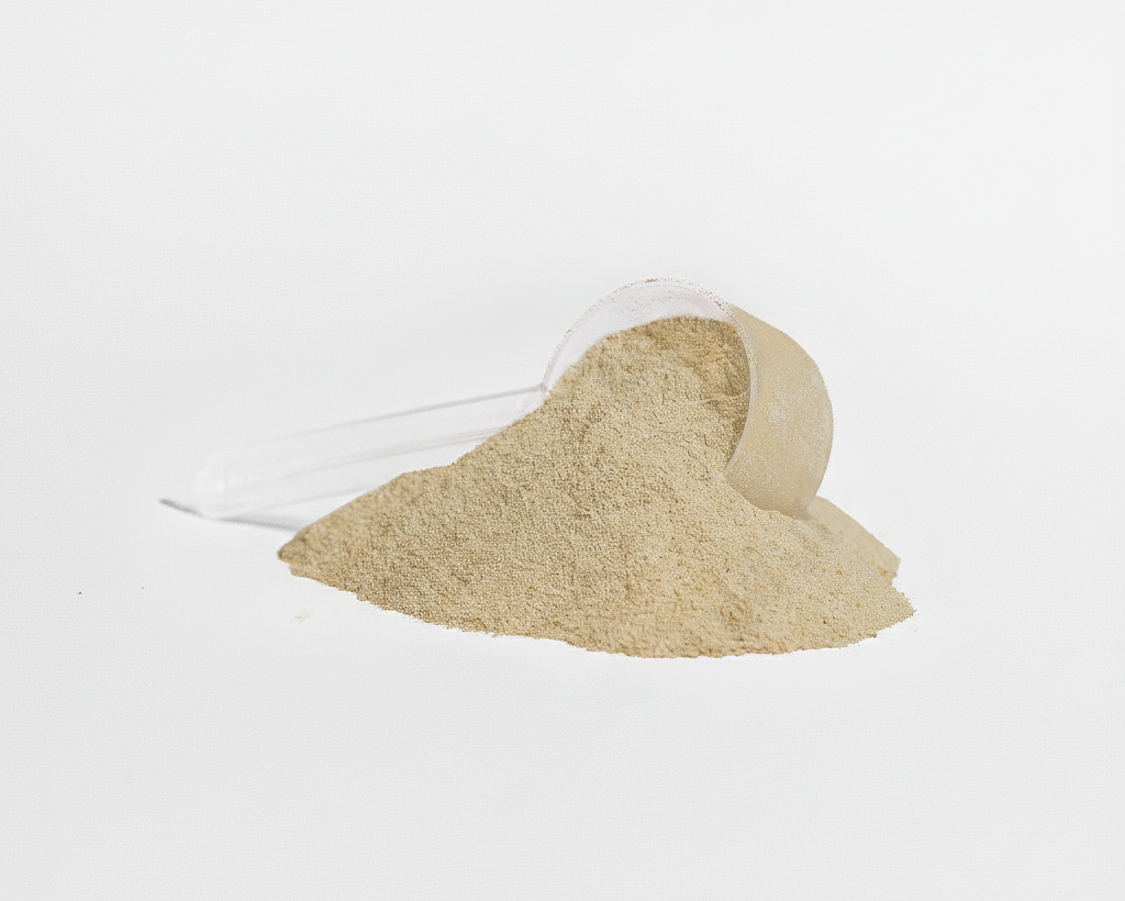 Vanilla Plant Power Protein