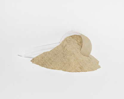Vanilla Plant Power Protein
